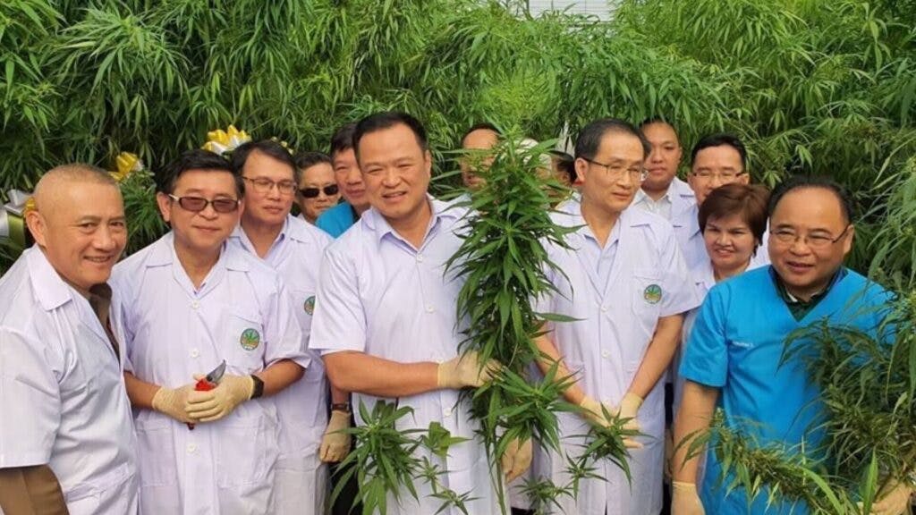 Thai officials pose with cannabis plants. (Anutin Charnvirakul / FB)